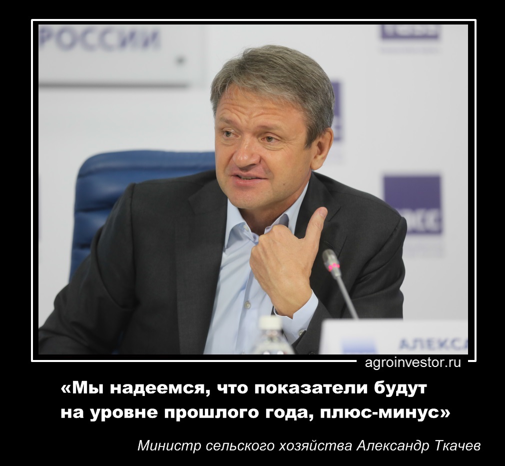 Александр Ткачев «Мы надеемся, что показатели будут на уровне прошлого года, плюс-минус»