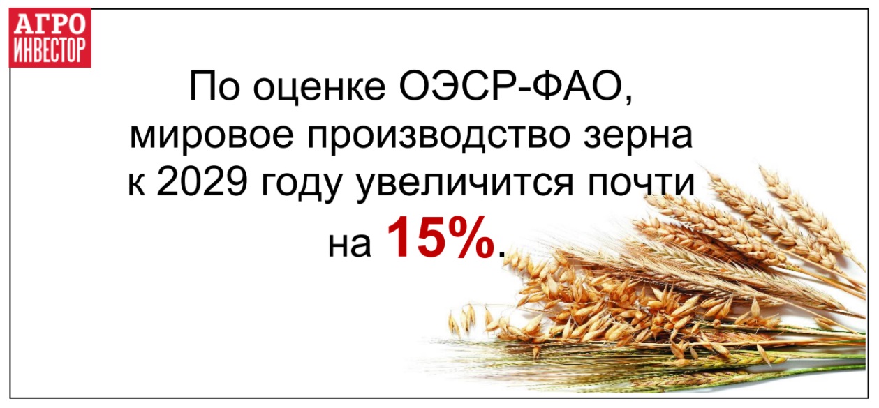 Новый точечный рисунок.jpg Новый точечный рисунок.jpg