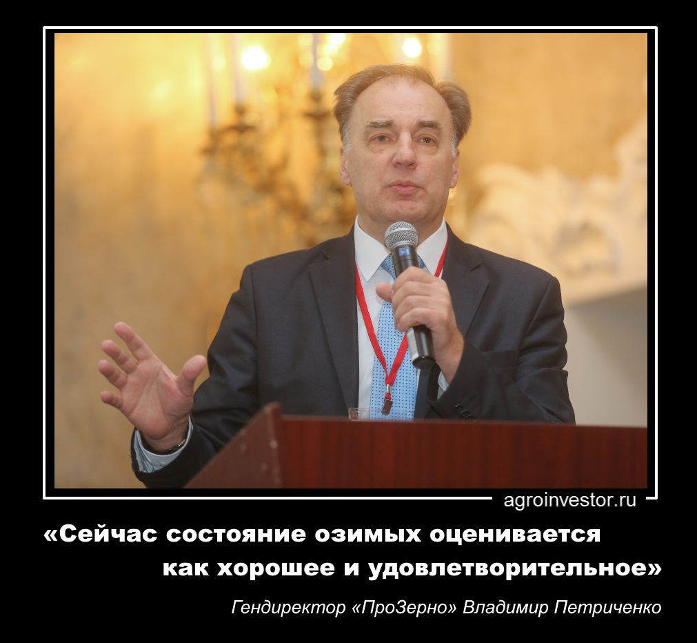 Владимир Петриченко «Сейчас состояние озимых оценивается как хорошее и удовлетворительное»