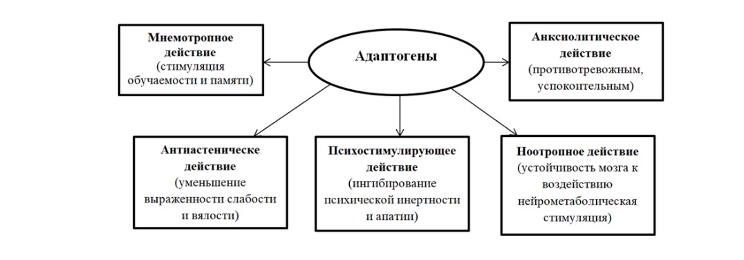 Снимок экрана 2022-12-07 113519.jpg