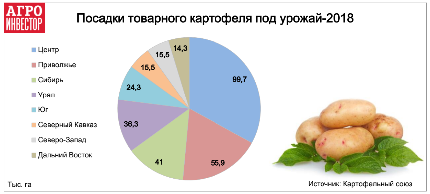 Посадки товарного картофеля