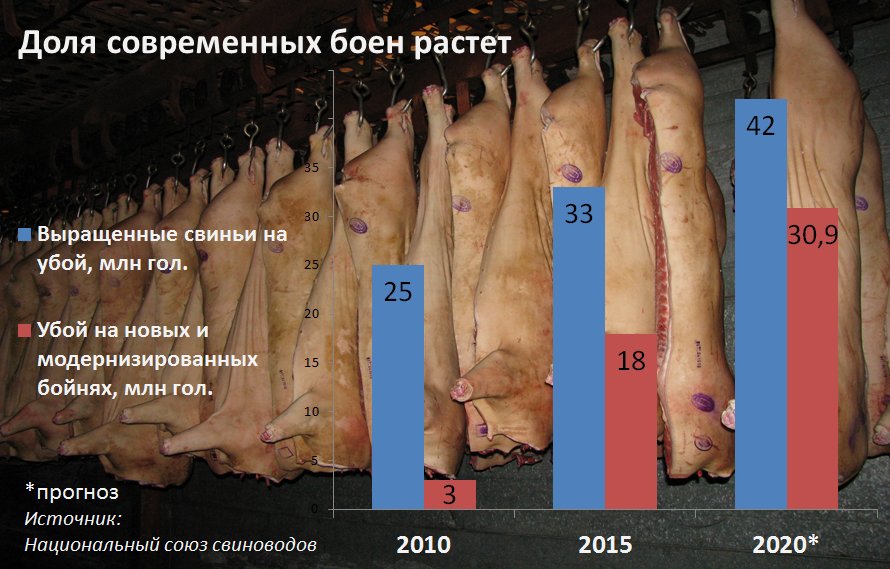 Доля современных боен растет