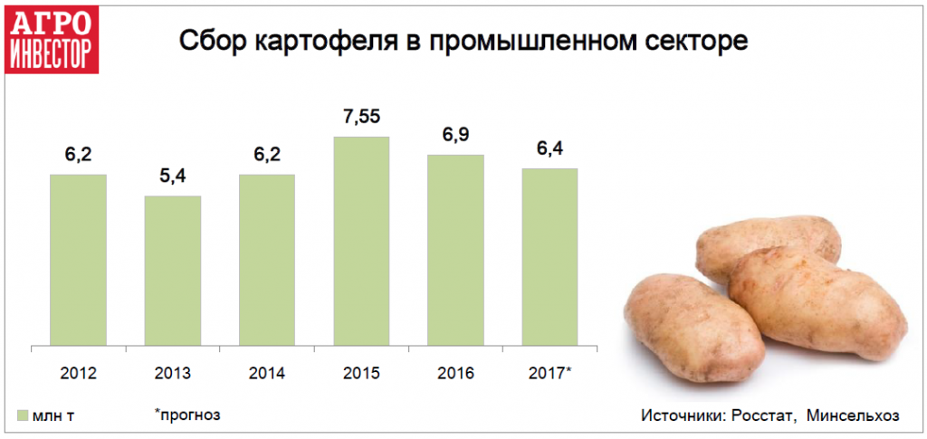 Сбор картофеля в промышленном секторе