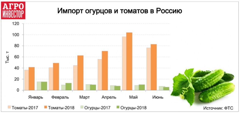 Импорт огурцов и томатов в Россию