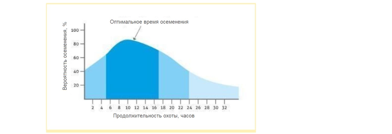 Снимок.JPG