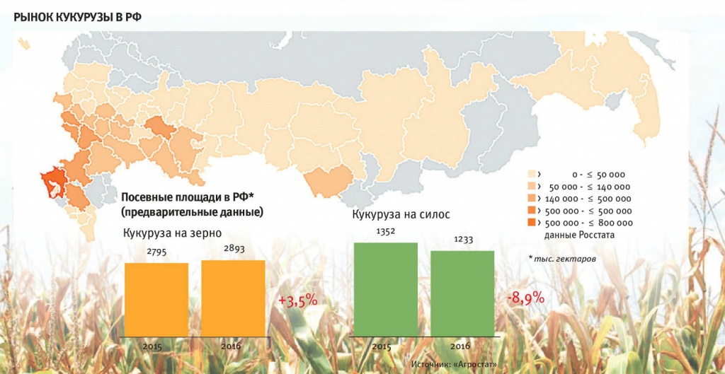 Рынок кукурузы в РФ