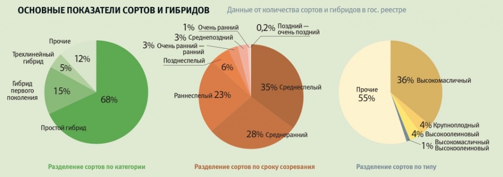 График 6 Основные показатели сортов и гибридов