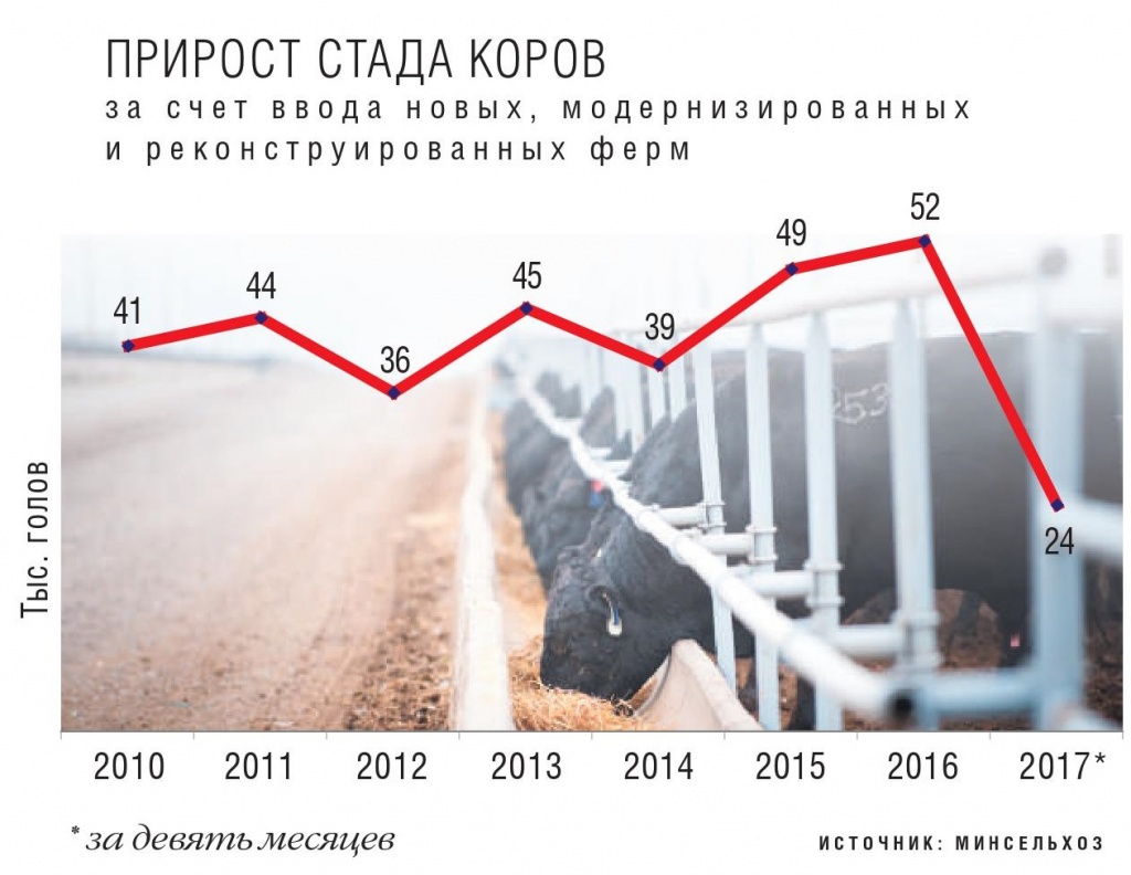 Прирост стада коров за счет новых ферм