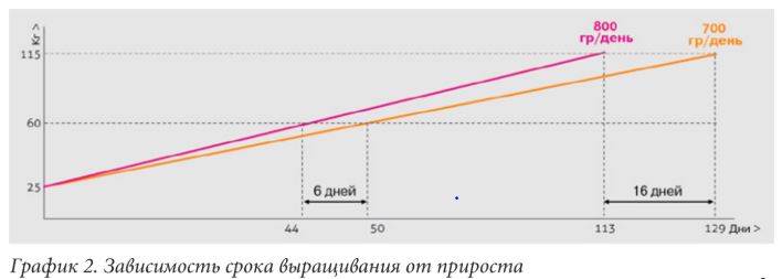 Снимок.JPG