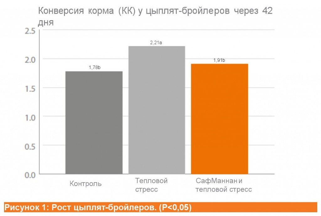 Добавление в корм препарата «СафМаннан» значительно повышало прирост массы 