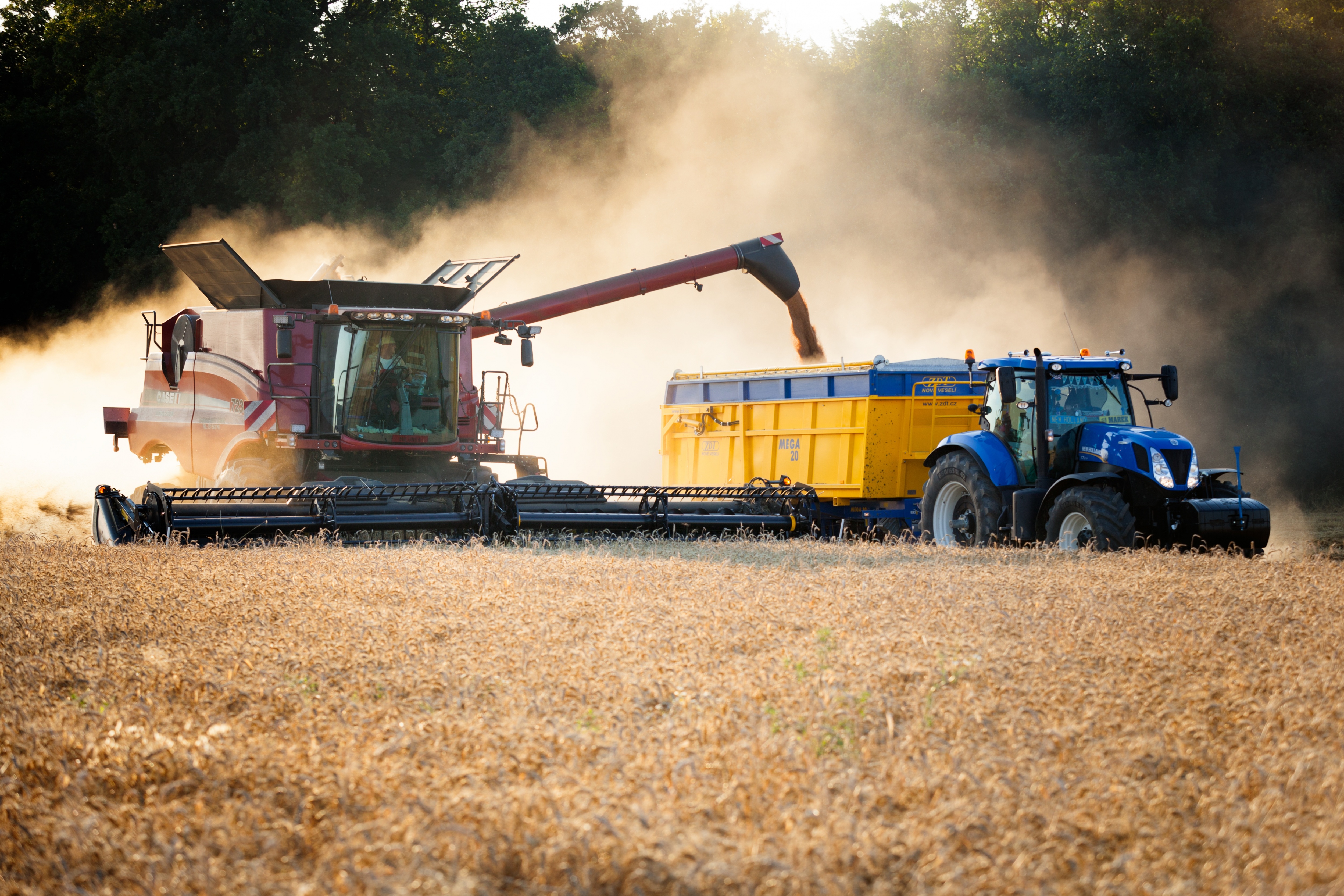 (PIXABAY) harvest-2526322.jpg