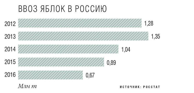 Ввоз яблок в Россию