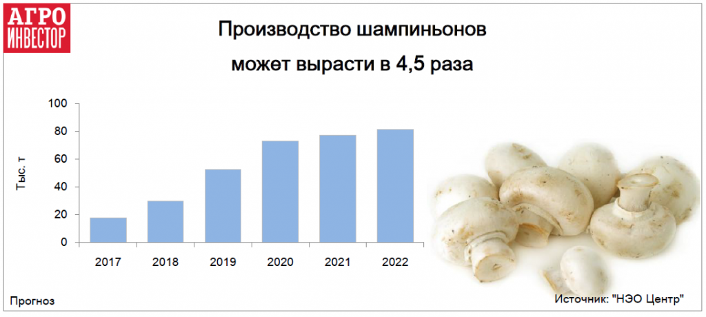 Производство шампиньонов может вырасти в 4,5 раза