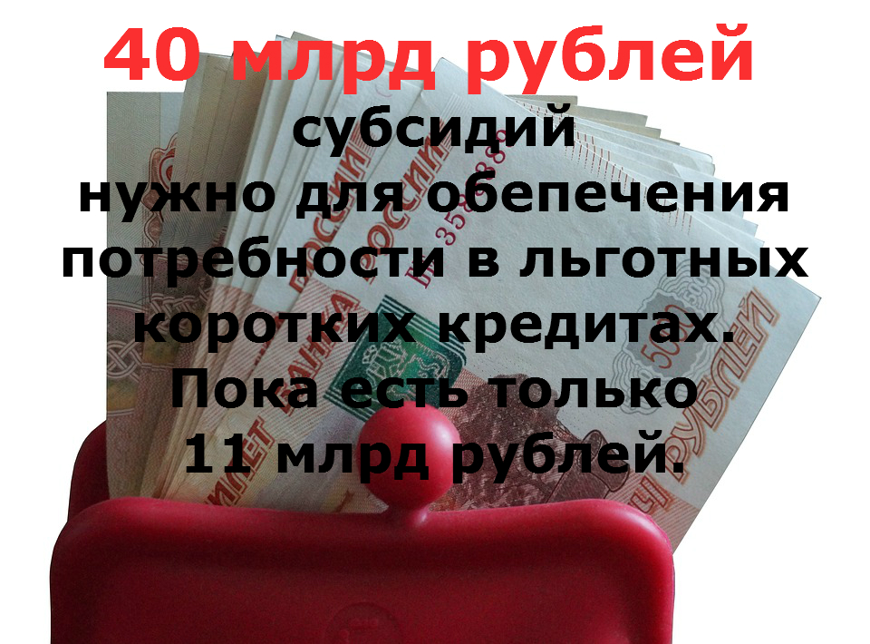 40 млрд рублей нужно для обеспечения потребности в льготных коротких кредитах
