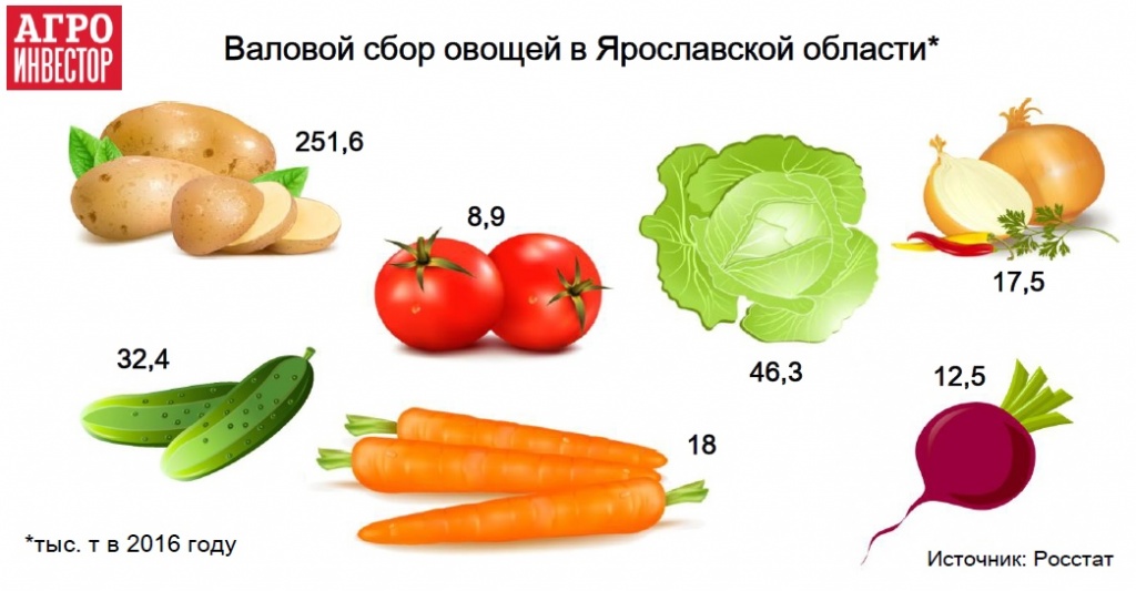 Валовый сбор овощей в Ярославской области
