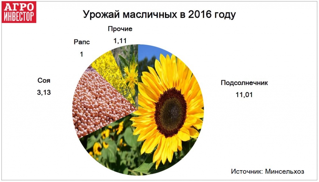Урожай масличных в 2016 году