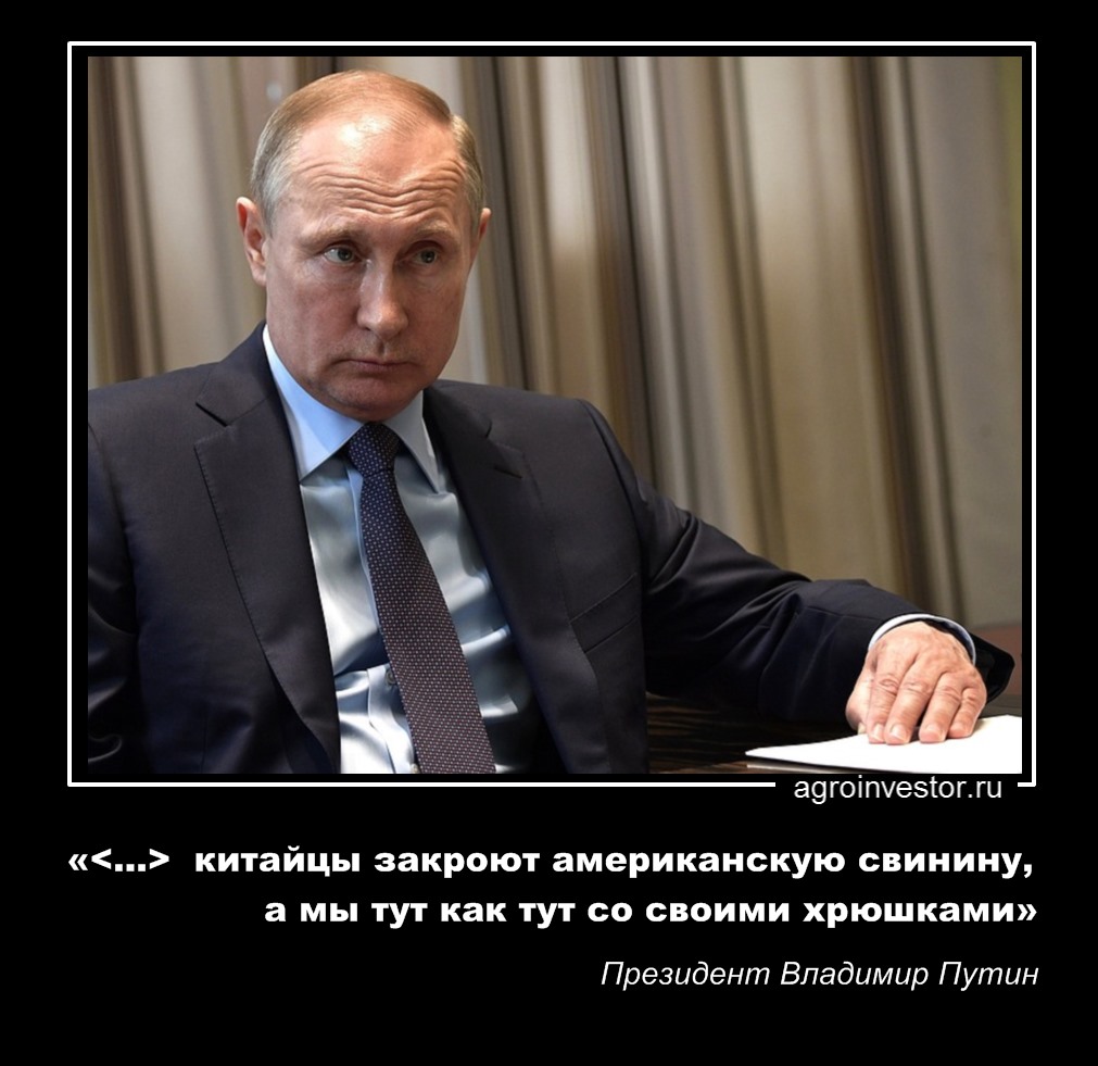 Президент Владимир Путин «… китайцы закроют американскую свинину»