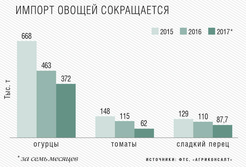 Выращивание овощей в теплице круглый год: практические советы