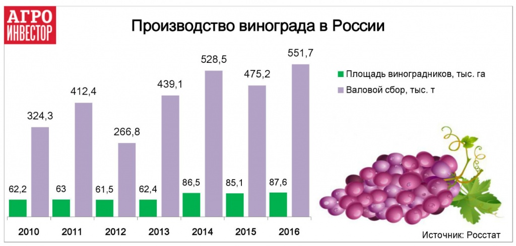 Производство винограда в России