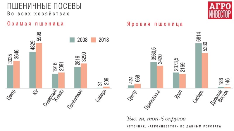 Пшеничные посевы