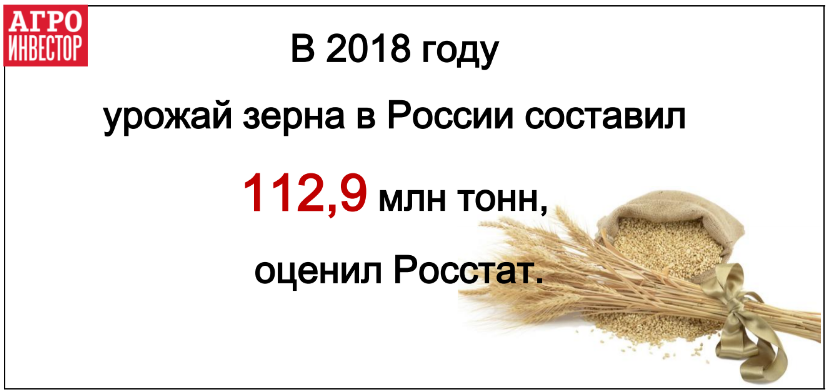 Урожай пшеницы снизился на 16%