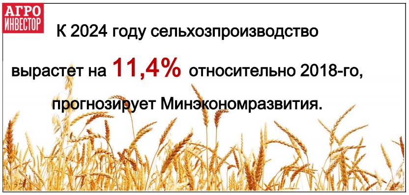 Сельхозпроизводство вырастет на 11% к 2024 году