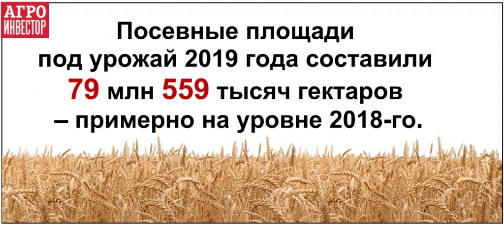 В 2019 году посевные площади в России остались на прошлогоднем уровне