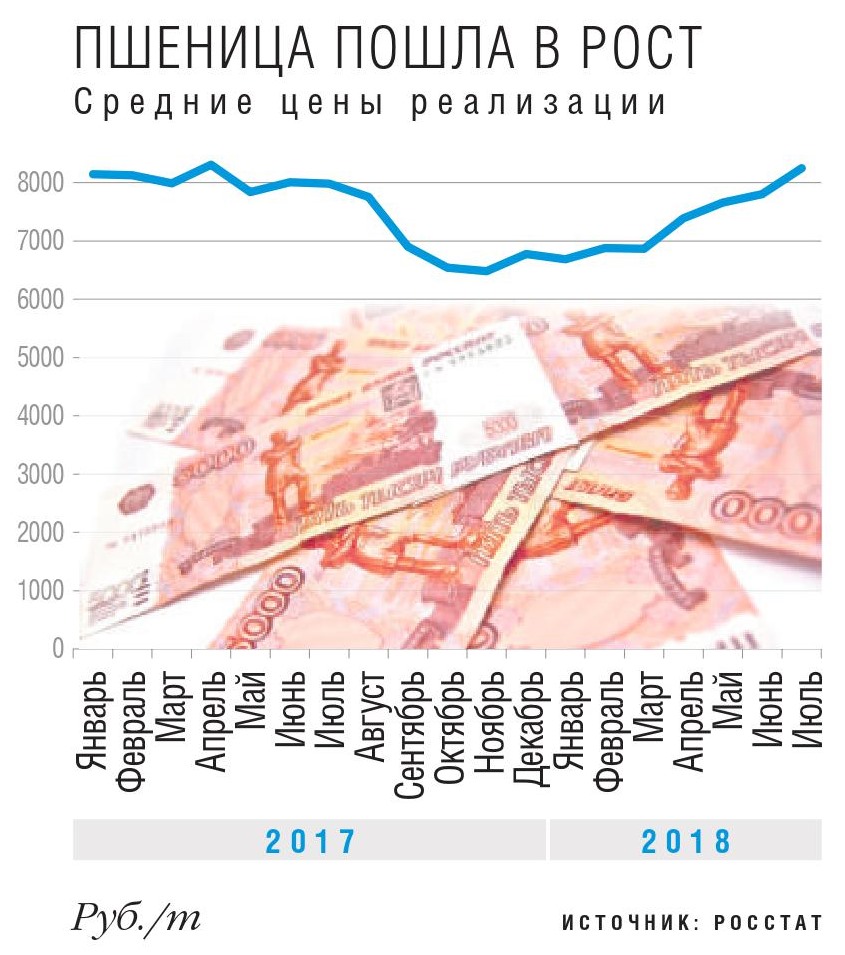 Пшеница пошла в рост