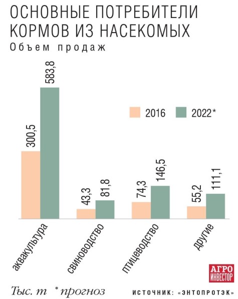 Магазин Пятый Элемент 21 Век Магазин Пятый Элемент 21 Век