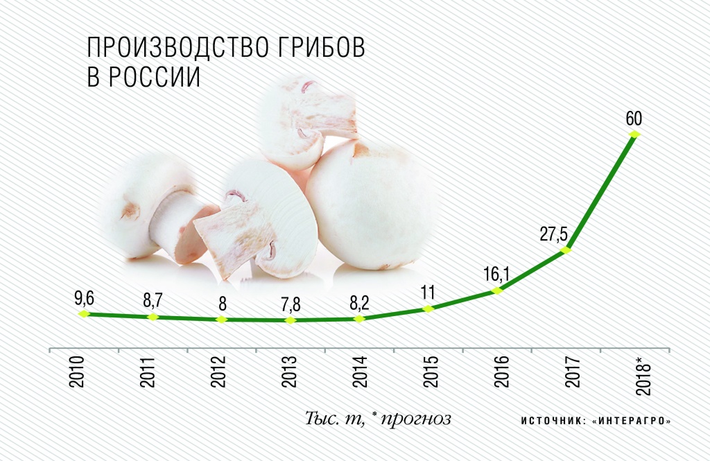 Производство грибов в России