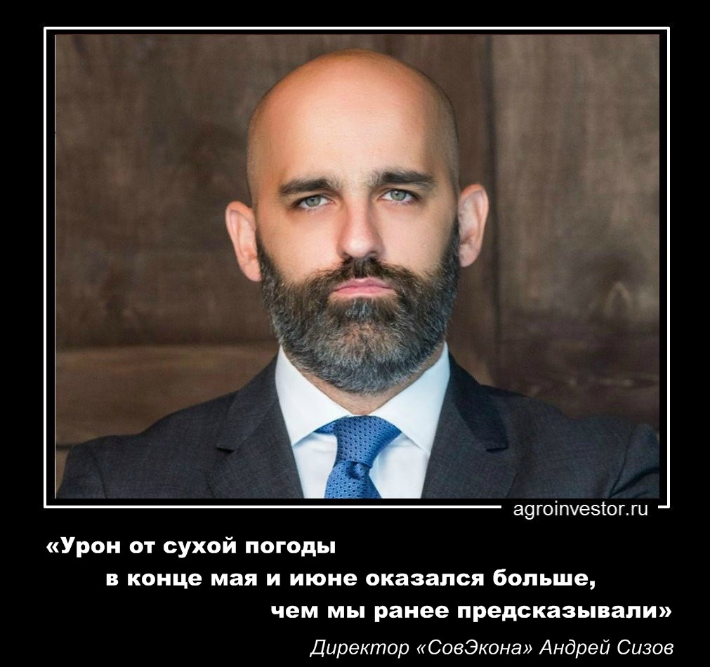 Андрей Сизов «Урон от сухой погоды в конце мая и июне оказался больше, чем мы ранее предсказывали»