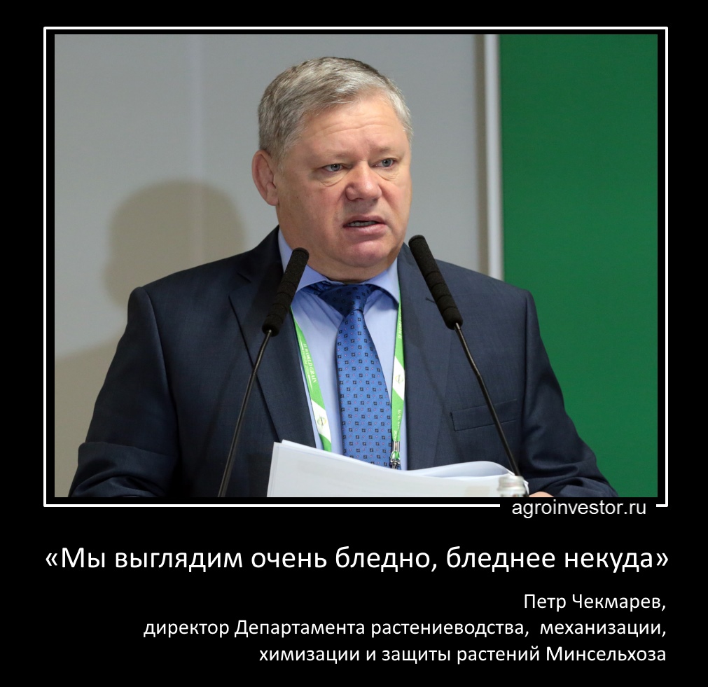 Петр Чекмарев: «Мы выглядим очень бледно, бледнее некуда»