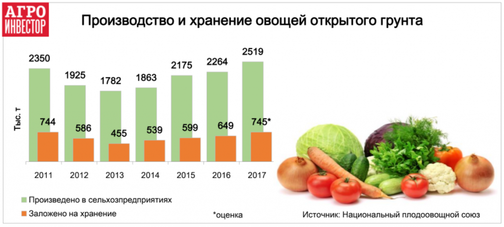 Производство и хранение овощей открытого грунта