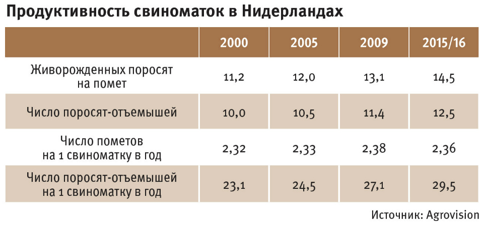 Продуктивность свиноматок в Нидерландах