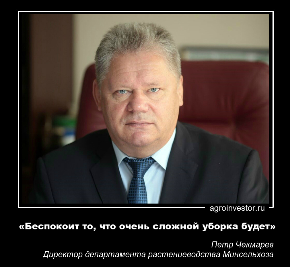 Петр Чекмарев «Беспокоит то, что очень сложной уборка будет»