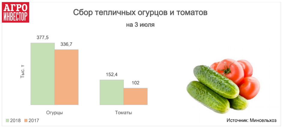 Режим работы тепличных магазинов