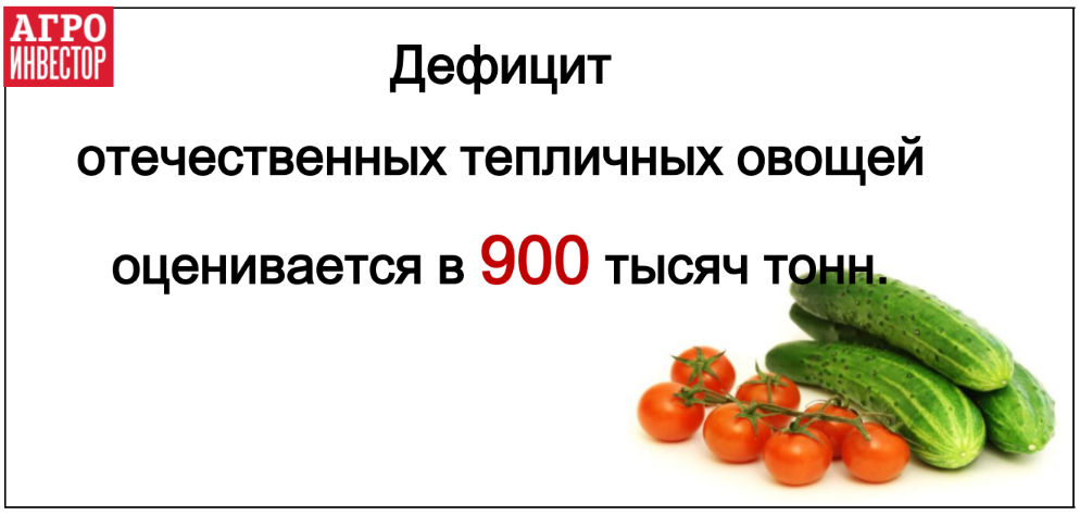 Дефицит отечественных тепличных овощей оценивается в 900 тысяч тонн