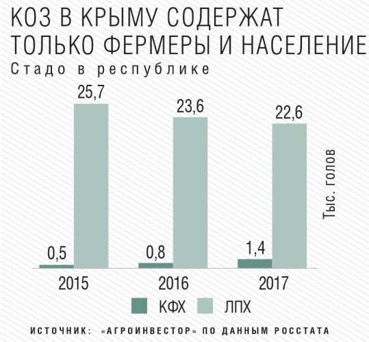 Стадо коз в Крыму