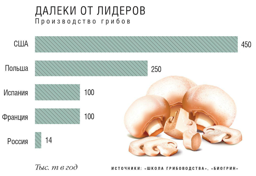 Производство грибов