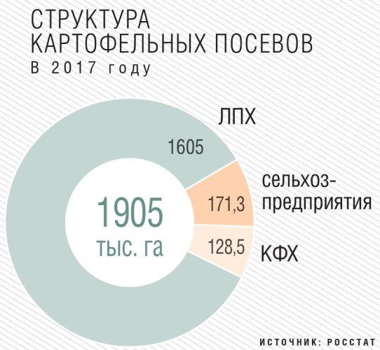 Структура картофельных посевов