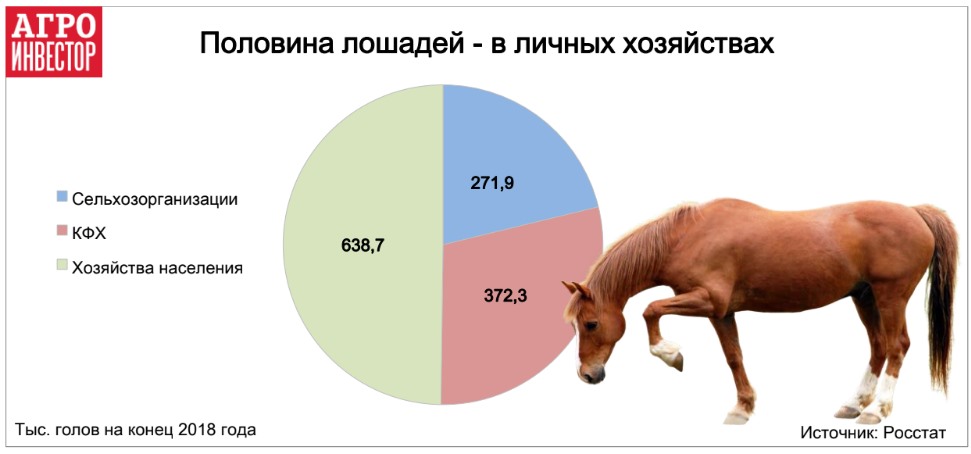 коневодство традиционно является практически неотъемлемой частью жизни сельского населения