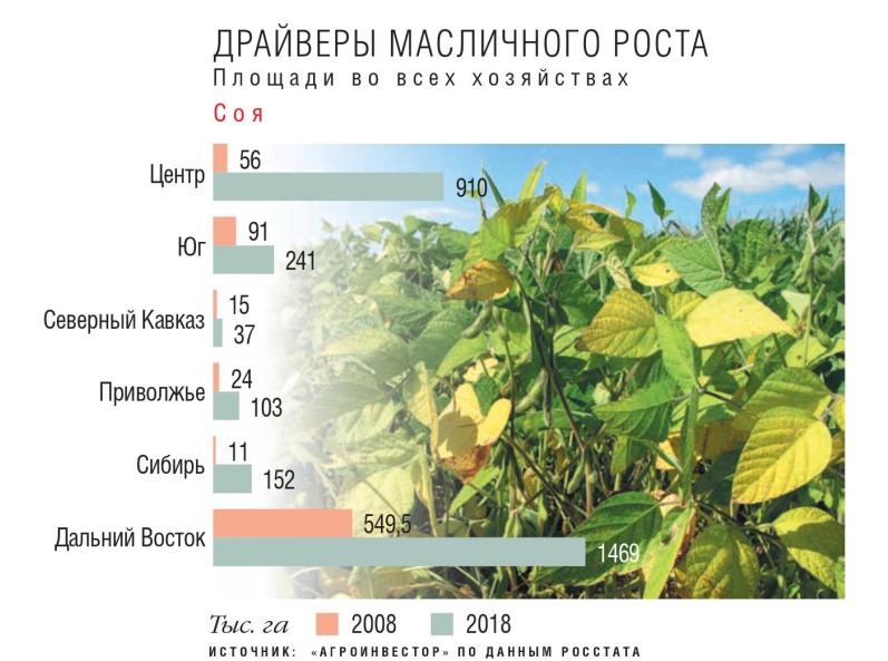 Всегда доходные масличные