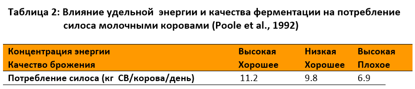 Влияние удельной энергии и качества ферментации на потребление силоса молочными коровами 