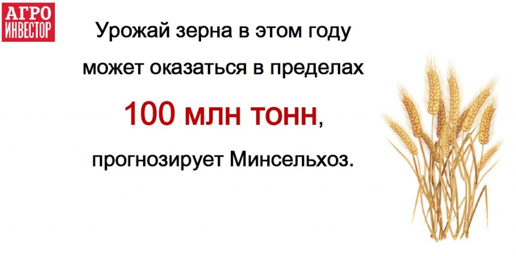 Урожай зерна в этом году может оказаться в пределах 100 млн тонн