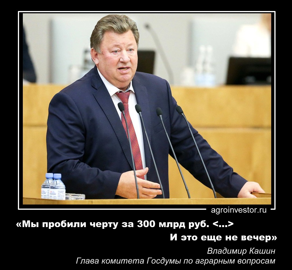 Владимир Кашин «Мы пробили черту за 300 млрд руб.»