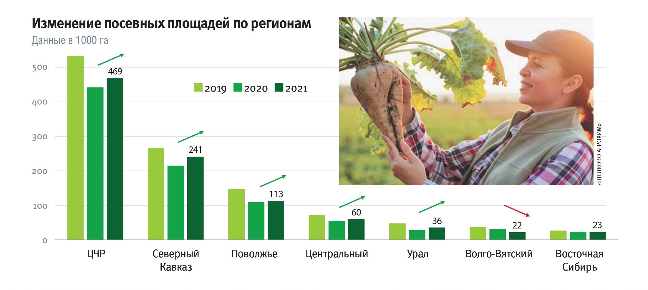 Стран являются лидерами по производству сахарной свеклы