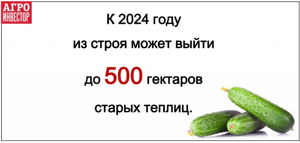 К 2024 году может выйти из строя до 500 гектаров старых теплиц