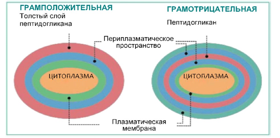 Снимок экрана 2020-11-16 121341.jpg