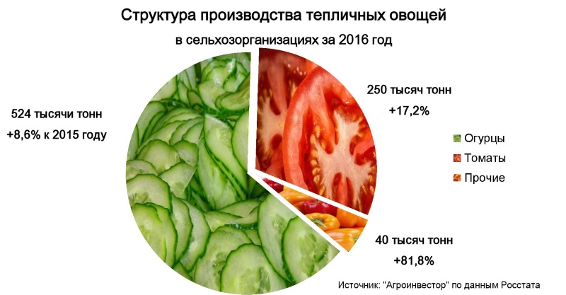 Структура производства тепличных овощей