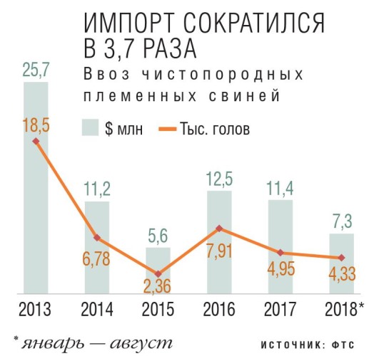 Ввоз чистопородных свиней